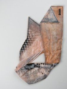 collar_30_Formal catch_2013_HR