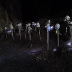 f3Zzse4gMu93PrNvlGJVXXrTFdj4Vocb33ckXXINGPE