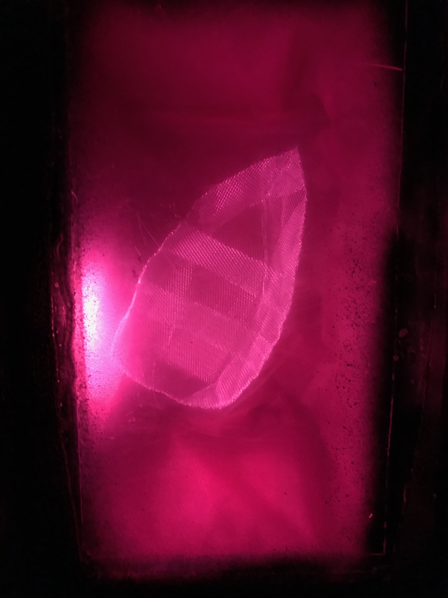 Being Boat_together in Isolation